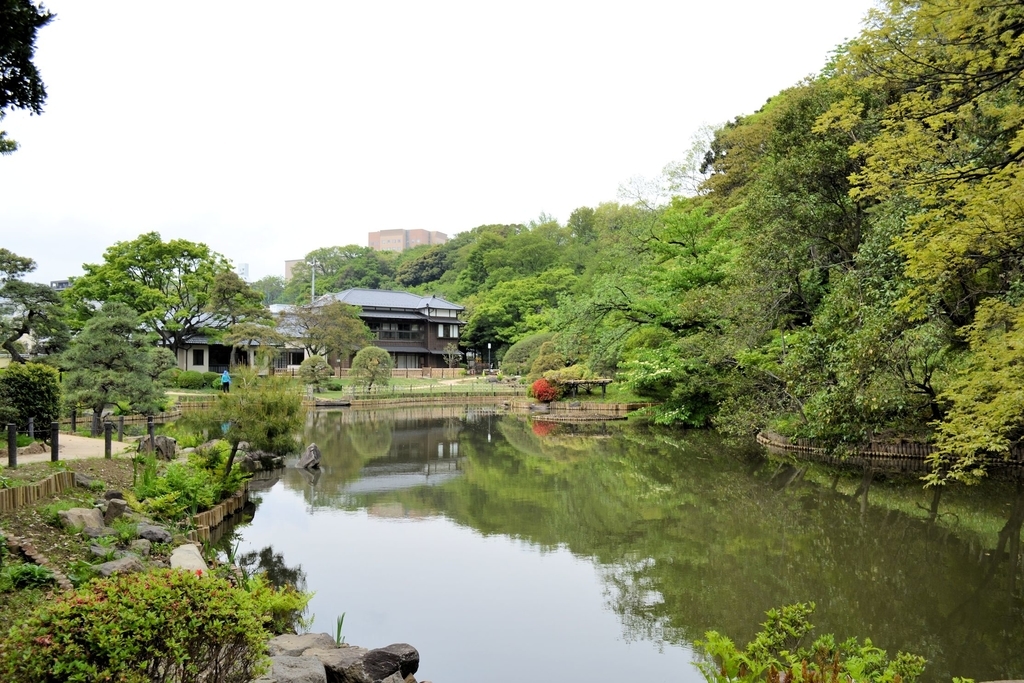 f:id:m00611108:20190224212825j:plain f:id:m00611108:20190224212825j:plain