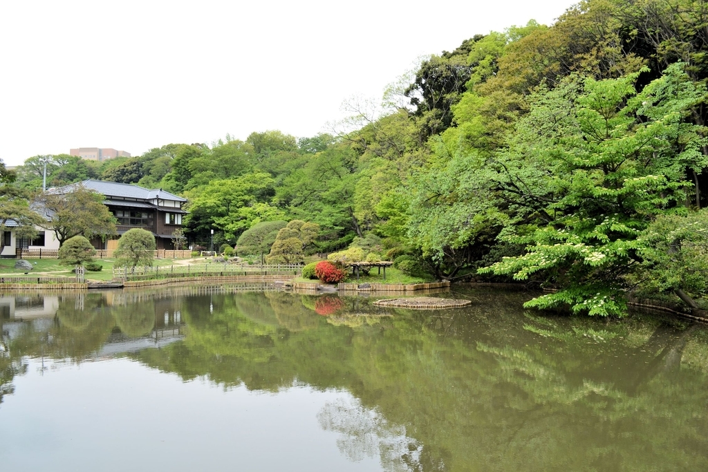 f:id:m00611108:20190224213307j:plain f:id:m00611108:20190224213307j:plain