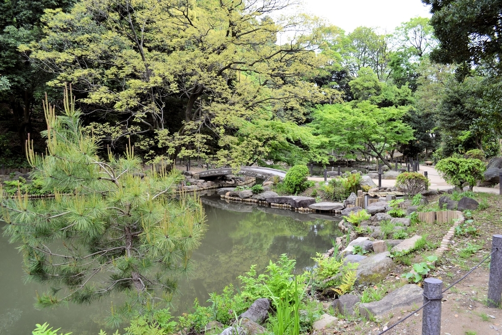 f:id:m00611108:20190224213506j:plain f:id:m00611108:20190224213506j:plain