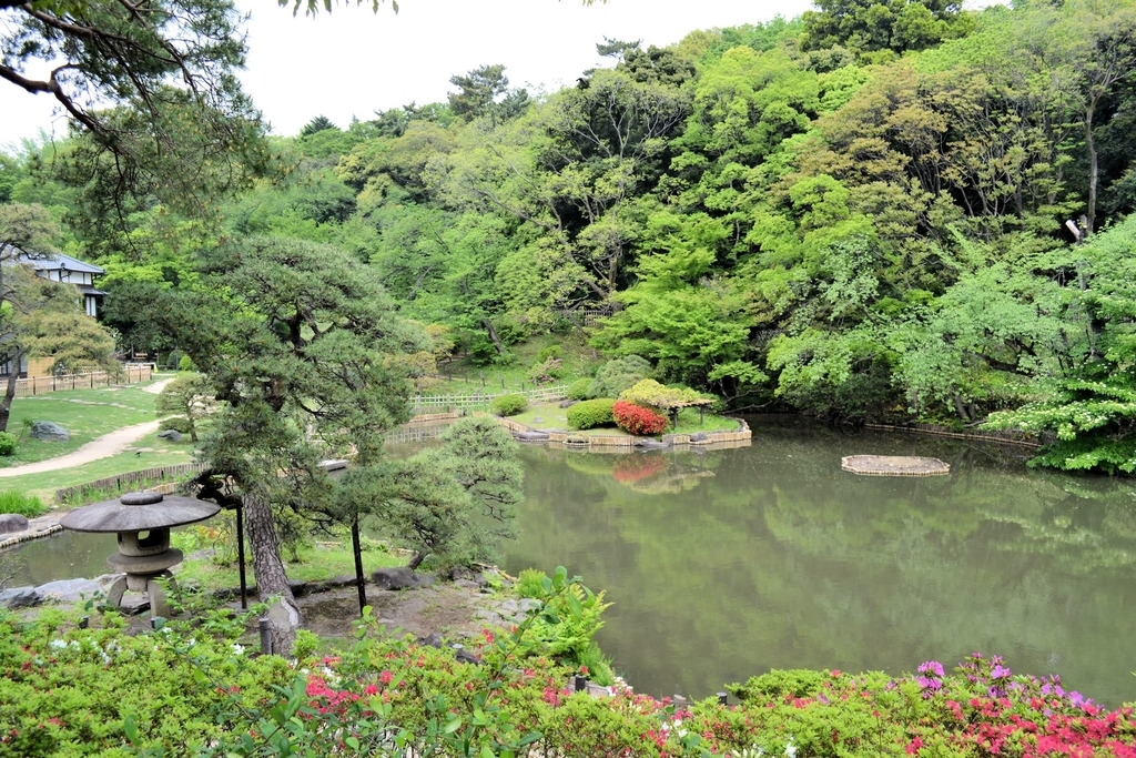 f:id:m00611108:20190224214248j:plain f:id:m00611108:20190224214248j:plain