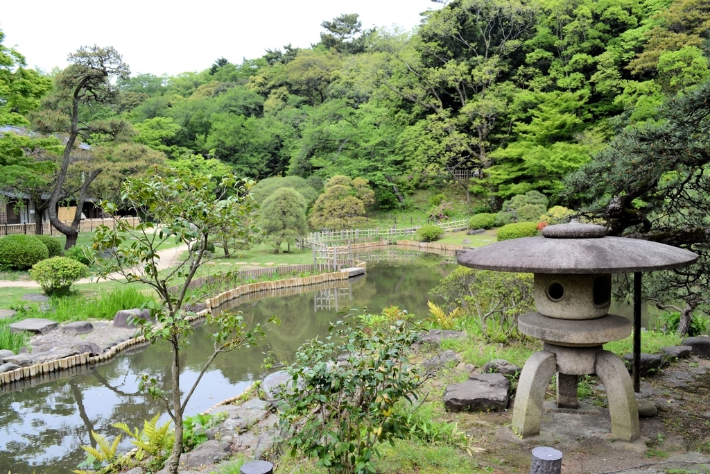 f:id:m00611108:20190224215215j:plain f:id:m00611108:20190224215215j:plain