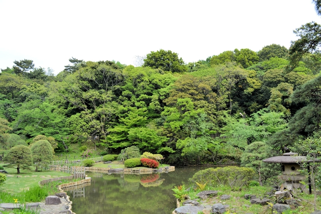 f:id:m00611108:20190224215604j:plain f:id:m00611108:20190224215604j:plain