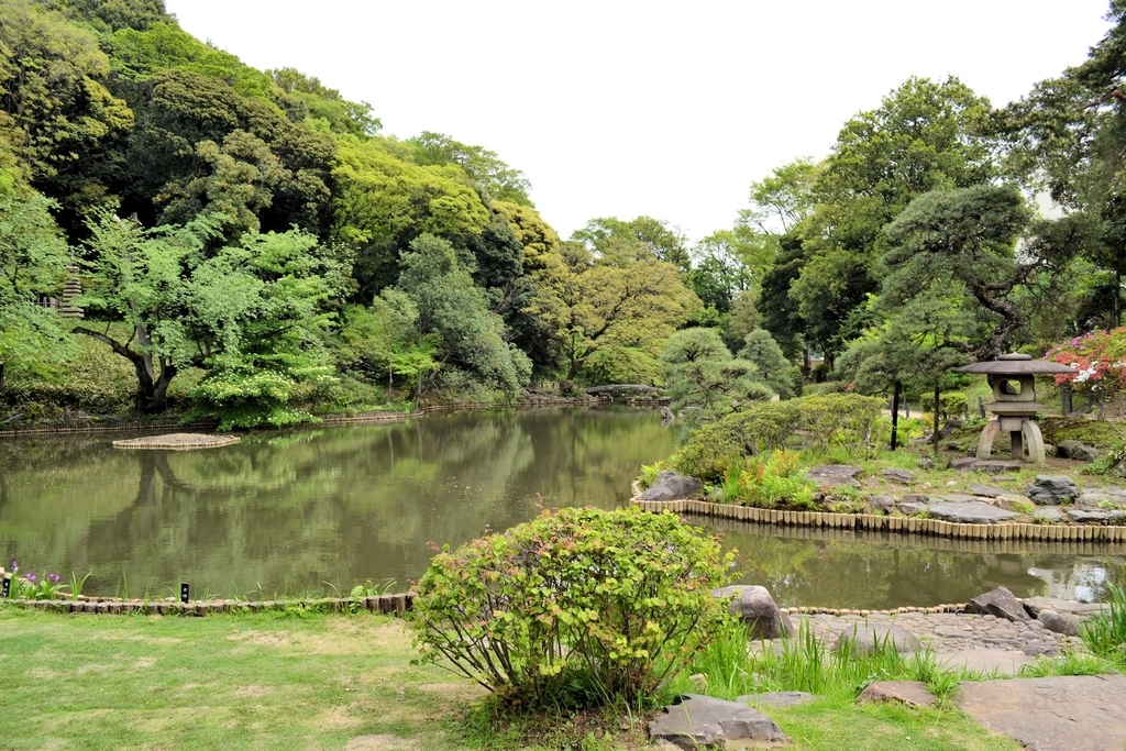 f:id:m00611108:20190224220059j:plain f:id:m00611108:20190224220059j:plain