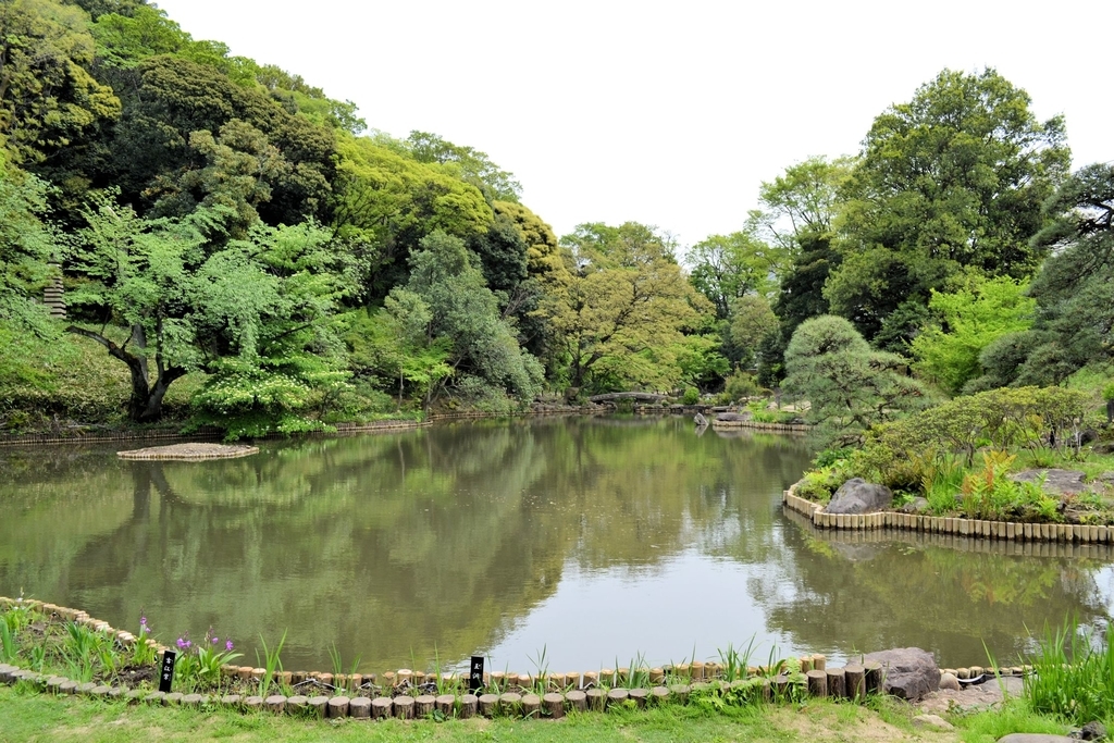 f:id:m00611108:20190224220451j:plain f:id:m00611108:20190224220451j:plain