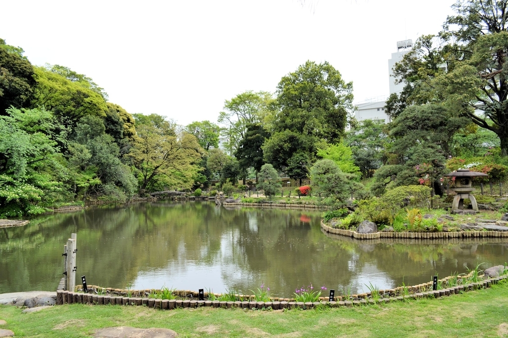 f:id:m00611108:20190224220649j:plain f:id:m00611108:20190224220649j:plain