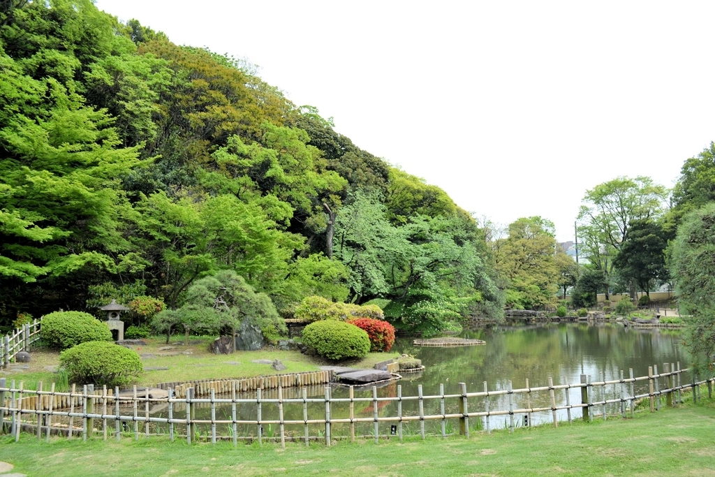 f:id:m00611108:20190224221014j:plain f:id:m00611108:20190224221014j:plain