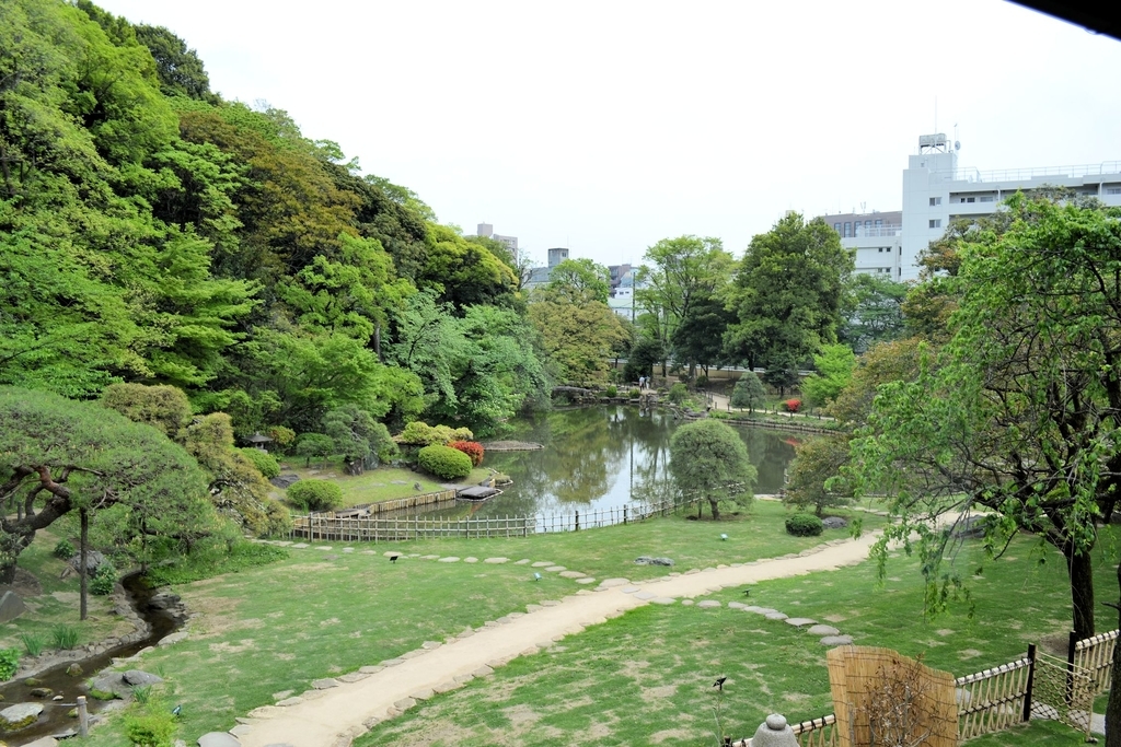 f:id:m00611108:20190224223441j:plain f:id:m00611108:20190224223441j:plain