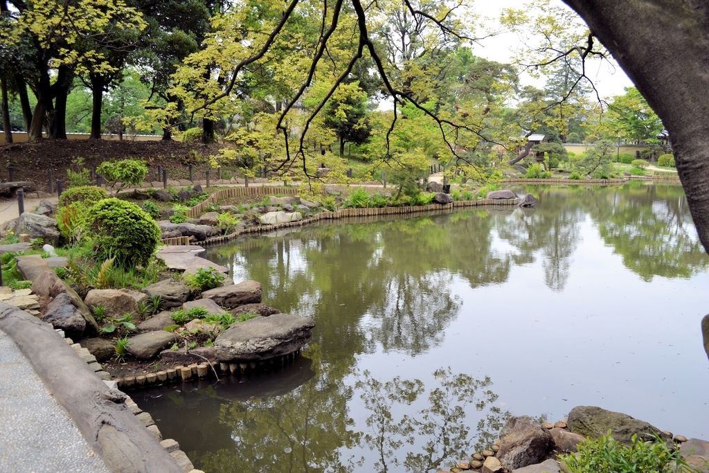 f:id:m00611108:20190224224108j:plain f:id:m00611108:20190224224108j:plain