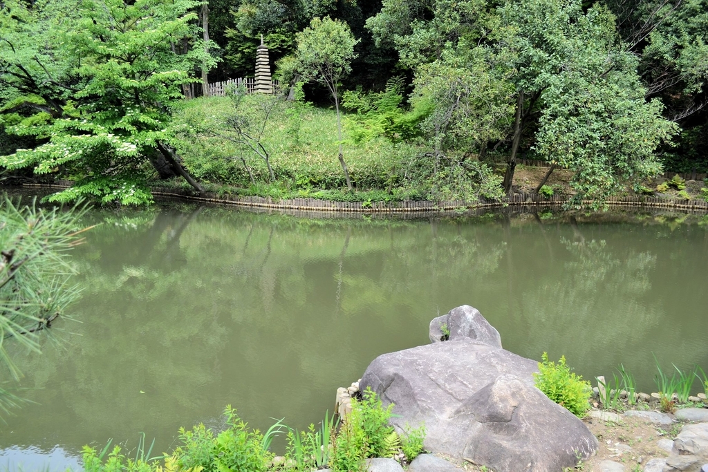 f:id:m00611108:20190224224242j:plain f:id:m00611108:20190224224242j:plain