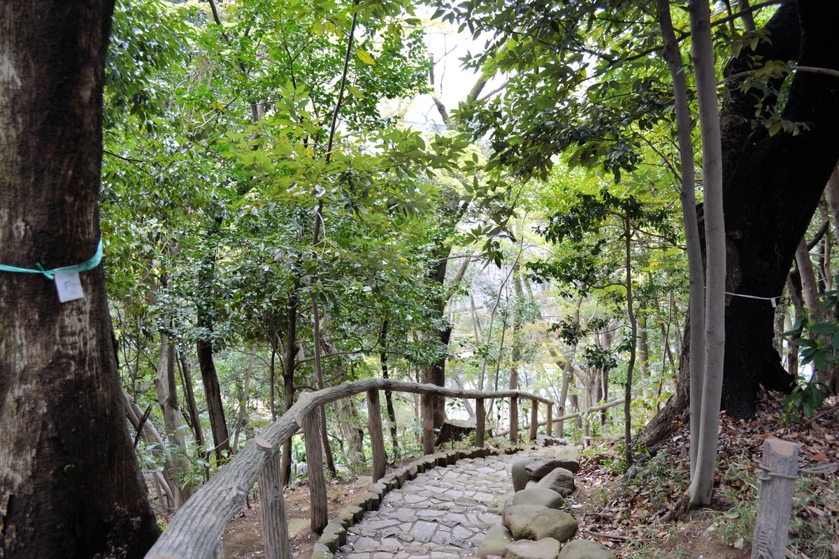 f:id:m00611108:20190407212757j:plain