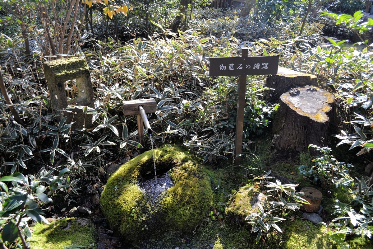 f:id:m00611108:20200113232426j:plain