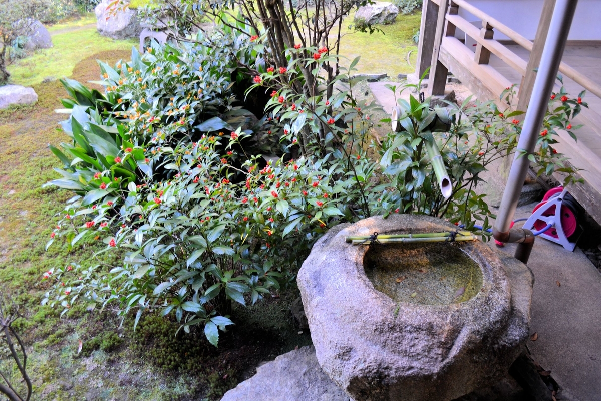 f:id:m00611108:20200113233536j:plain