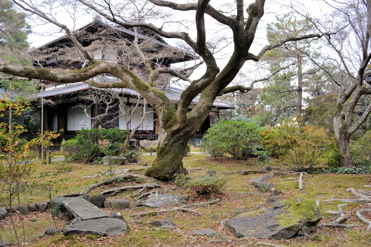 f:id:m00611108:20200119220200j:plain