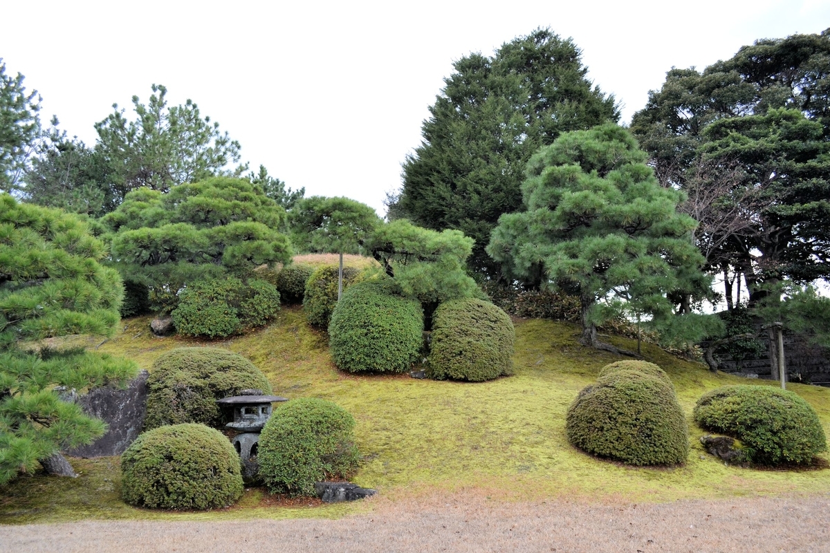 f:id:m00611108:20200121222059j:plain f:id:m00611108:20200121222059j:plain