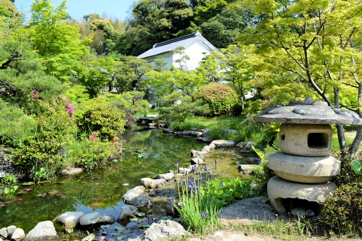 f:id:m00611108:20200202230339j:plain