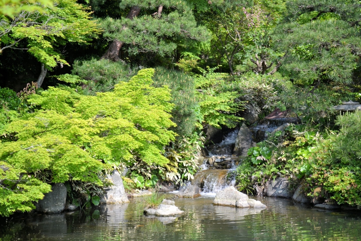 f:id:m00611108:20200202230526j:plain