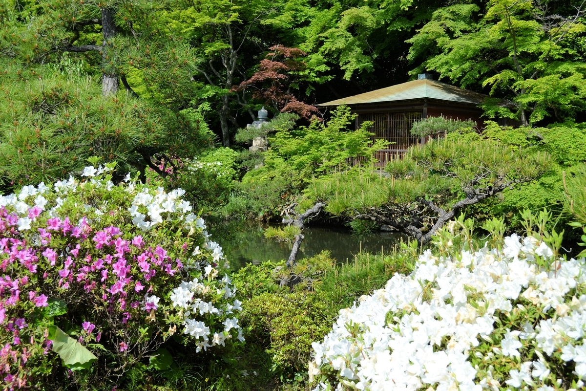 f:id:m00611108:20200202230552j:plain