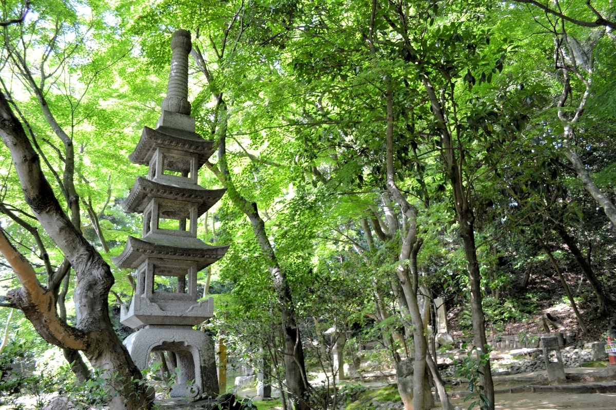 f:id:m00611108:20200202230643j:plain