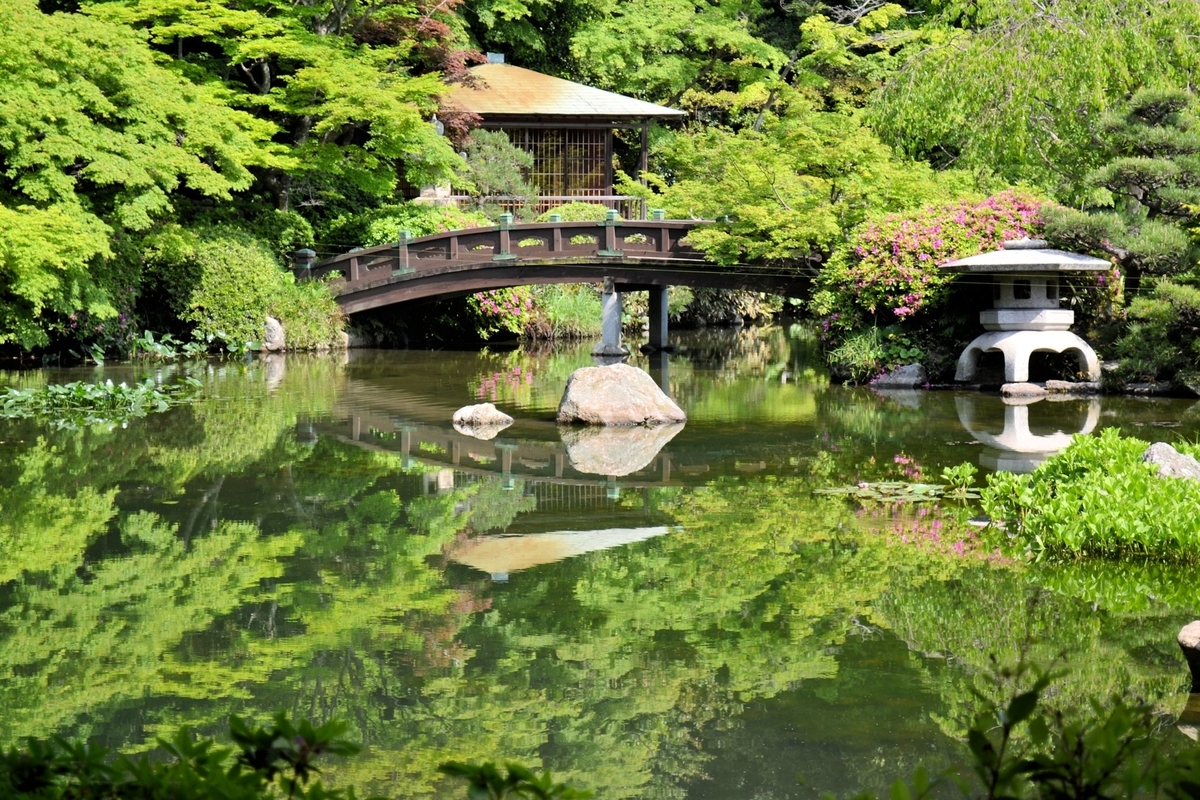 f:id:m00611108:20200202230843j:plain