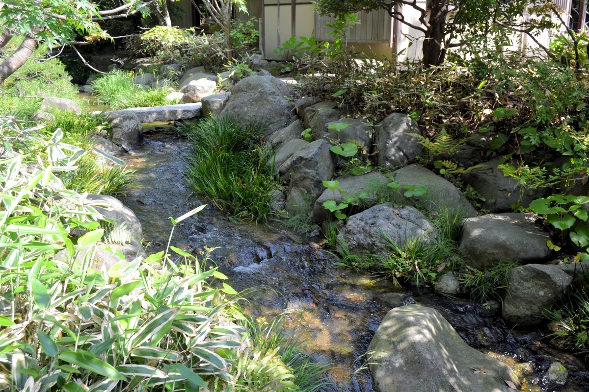 f:id:m00611108:20200202230923j:plain