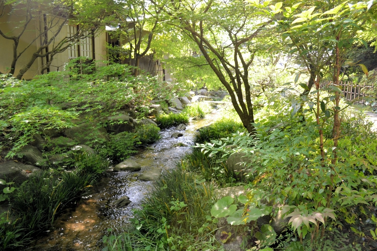 f:id:m00611108:20200202230945j:plain