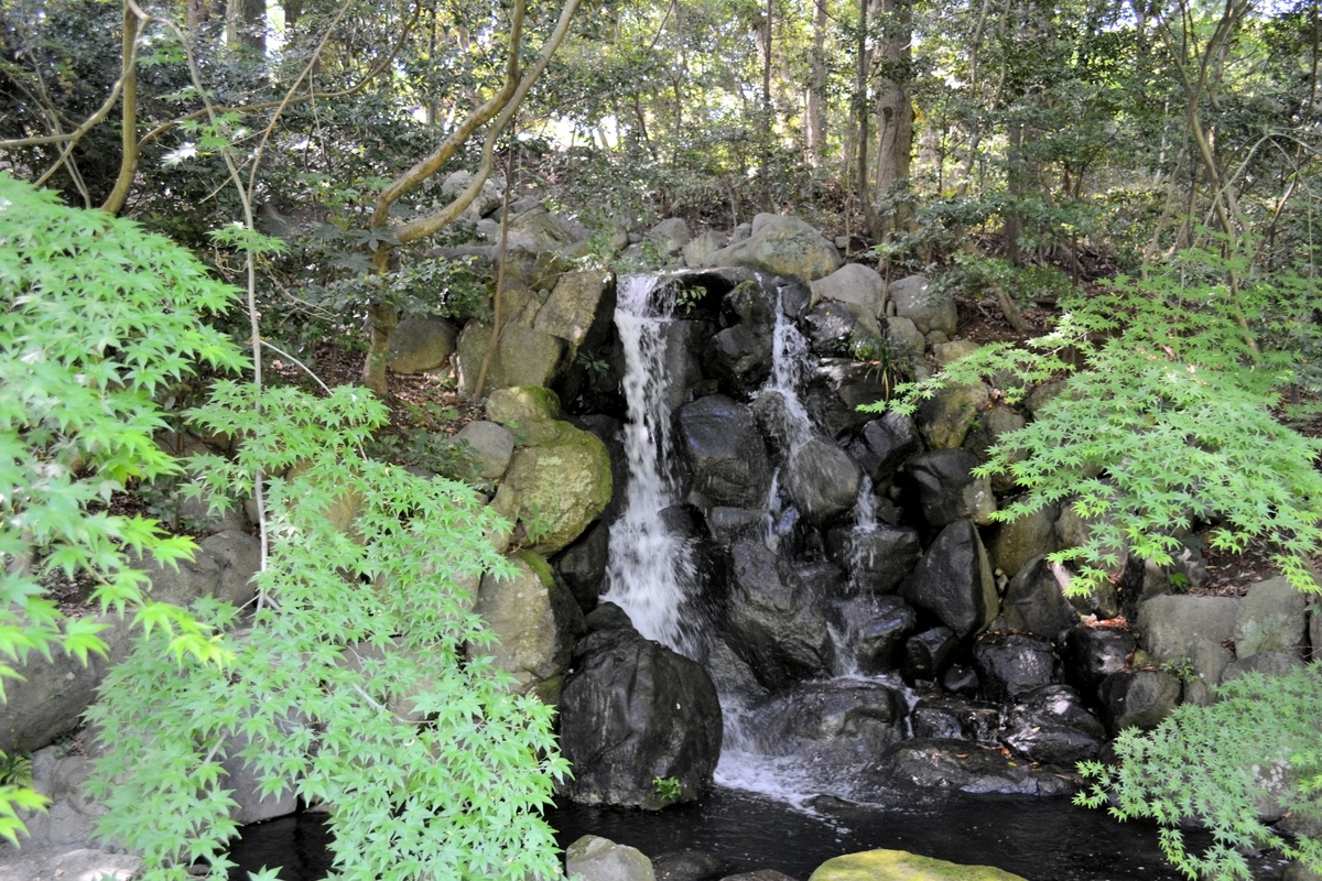 f:id:m00611108:20200202231038j:plain