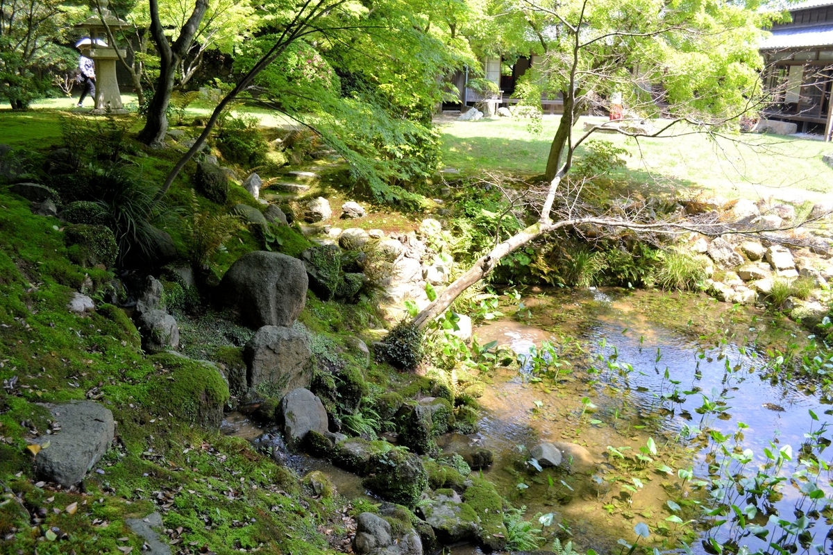 f:id:m00611108:20200208230444j:plain