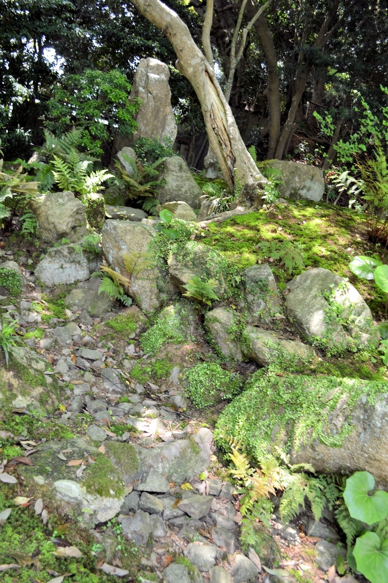 f:id:m00611108:20200208230557j:plain