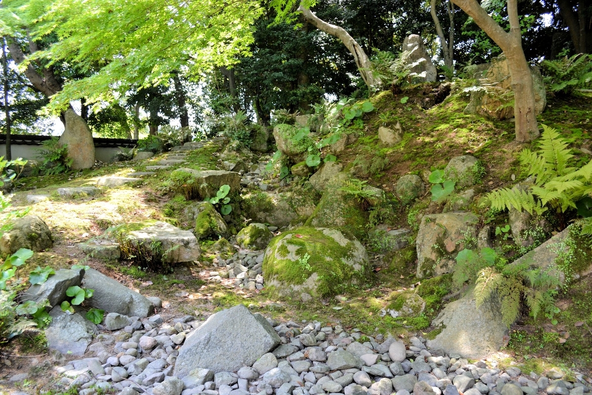 f:id:m00611108:20200208230618j:plain