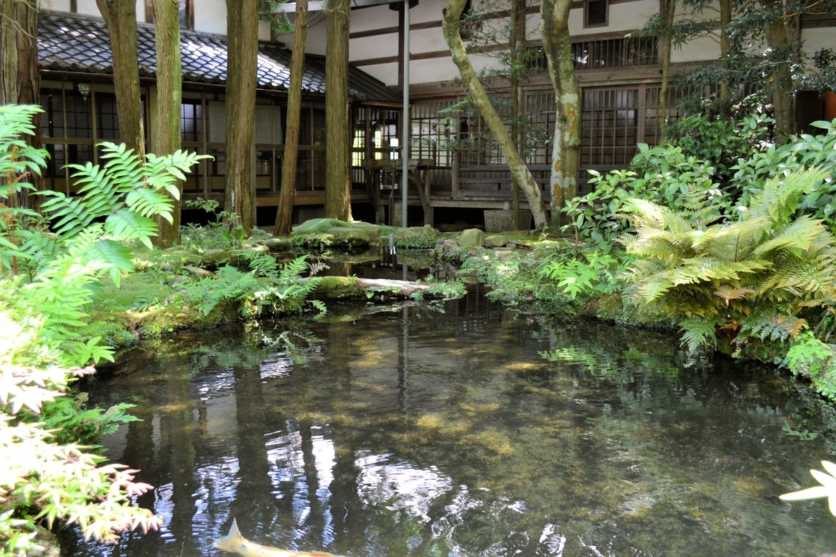 f:id:m00611108:20200208230934j:plain