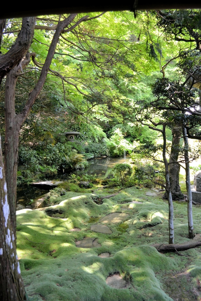 f:id:m00611108:20200208230955j:plain