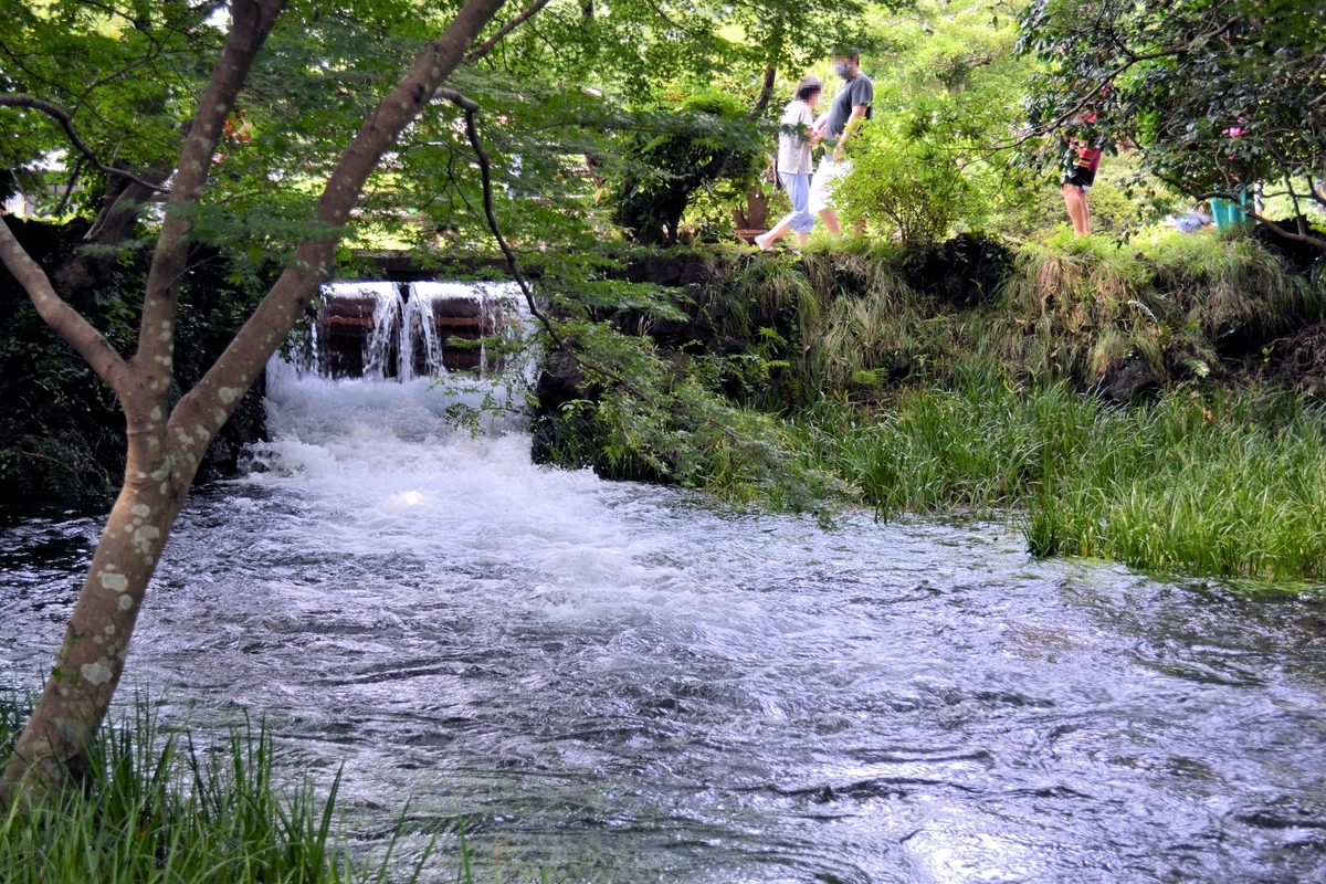 f:id:m00611108:20200808121223j:plain