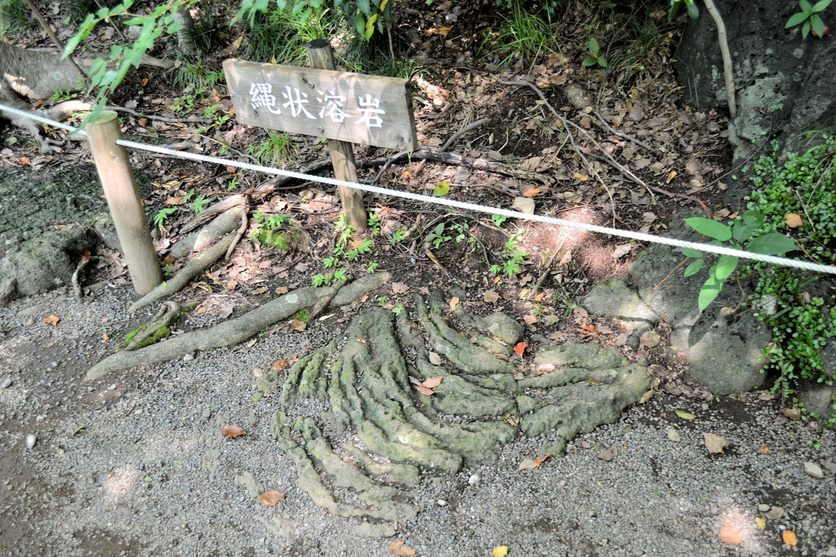 f:id:m00611108:20200808122905j:plain