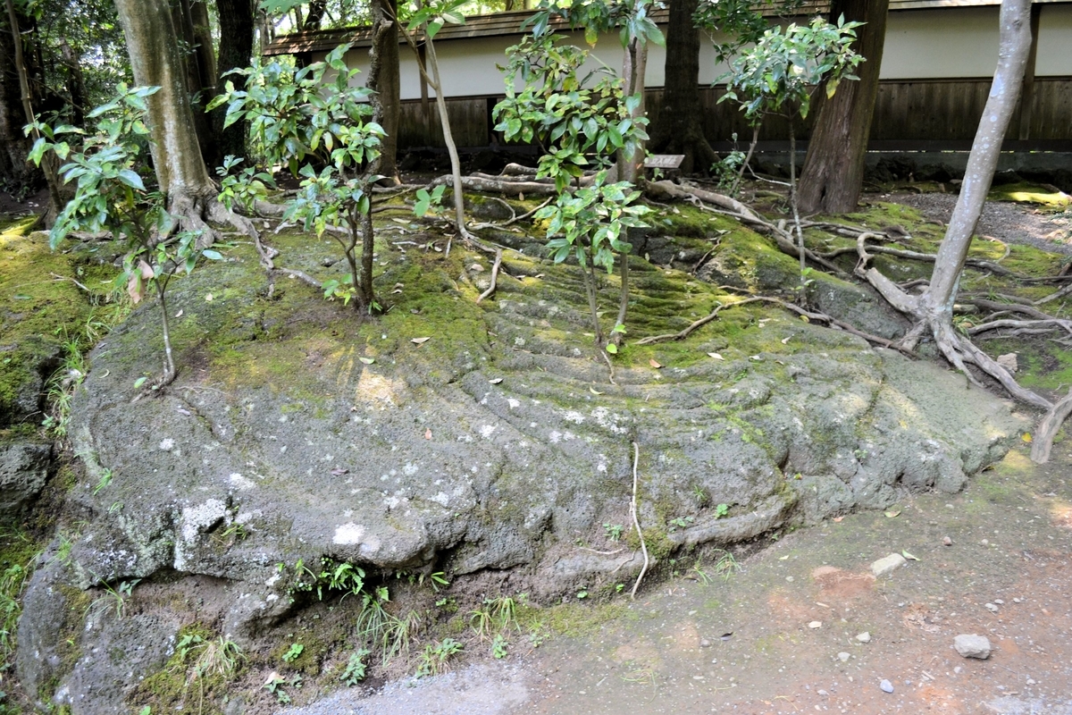 f:id:m00611108:20200808123015j:plain