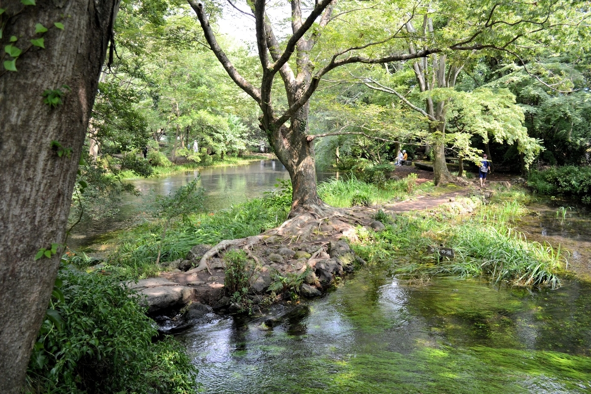 f:id:m00611108:20200808124707j:plain