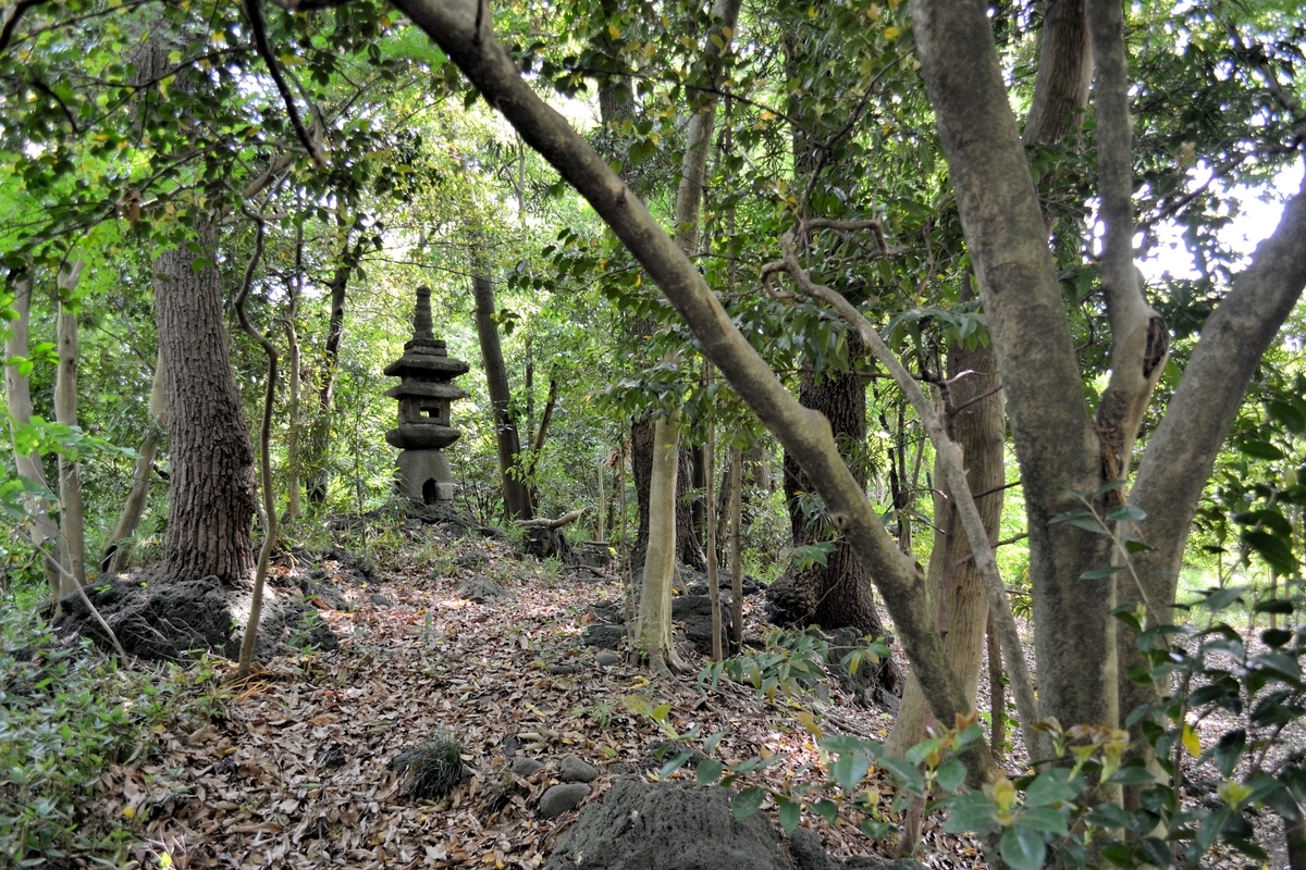 f:id:m00611108:20200810180940j:plain