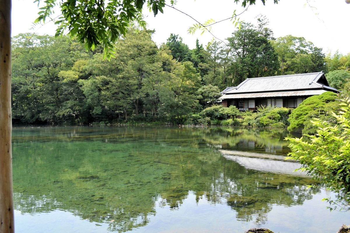 f:id:m00611108:20200810222715j:plain