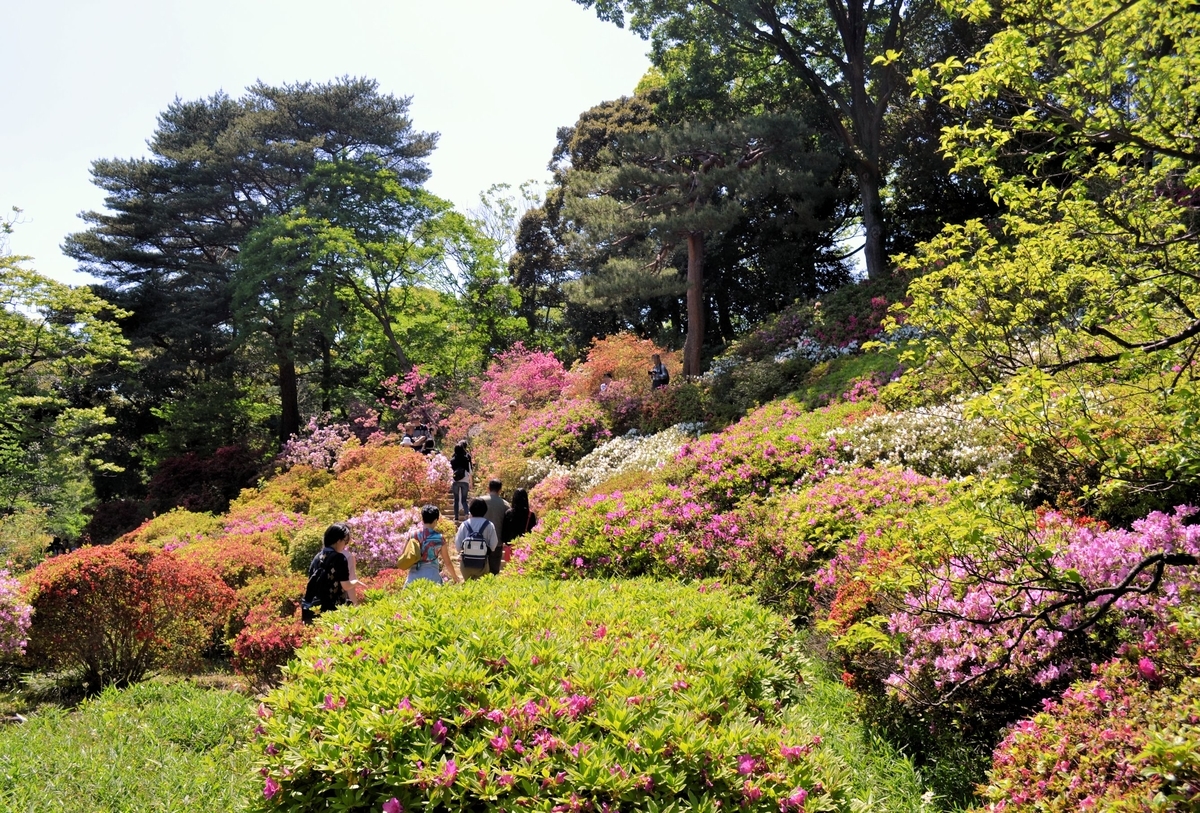 f:id:m00611108:20200912204516j:plain