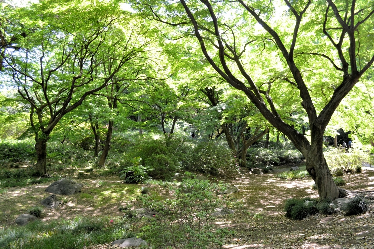 f:id:m00611108:20200913144429j:plain