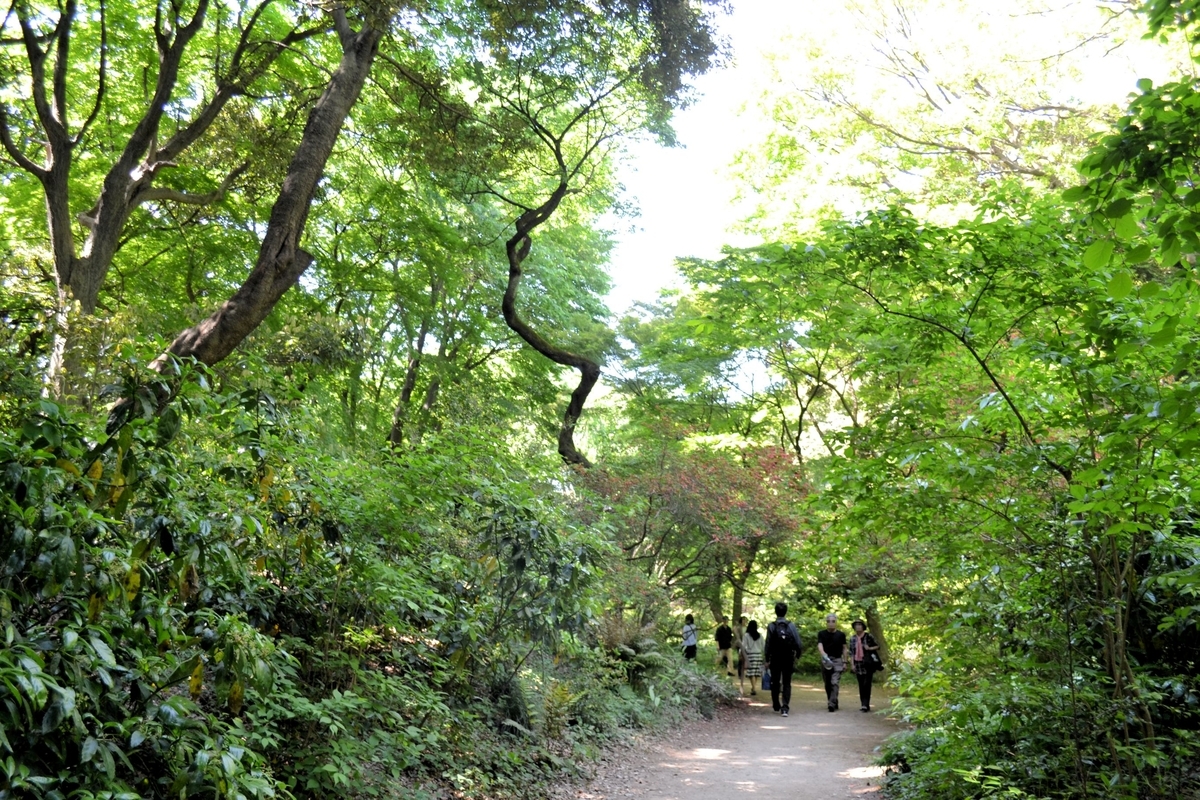 f:id:m00611108:20200913150934j:plain