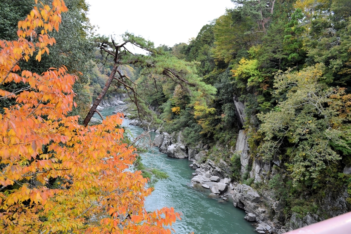 f:id:m00611108:20201102223101j:plain f:id:m00611108:20201102223101j:plain