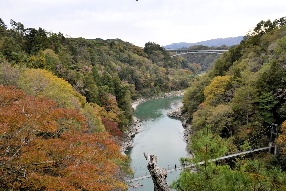 f:id:m00611108:20201102223225j:plain f:id:m00611108:20201102223225j:plain