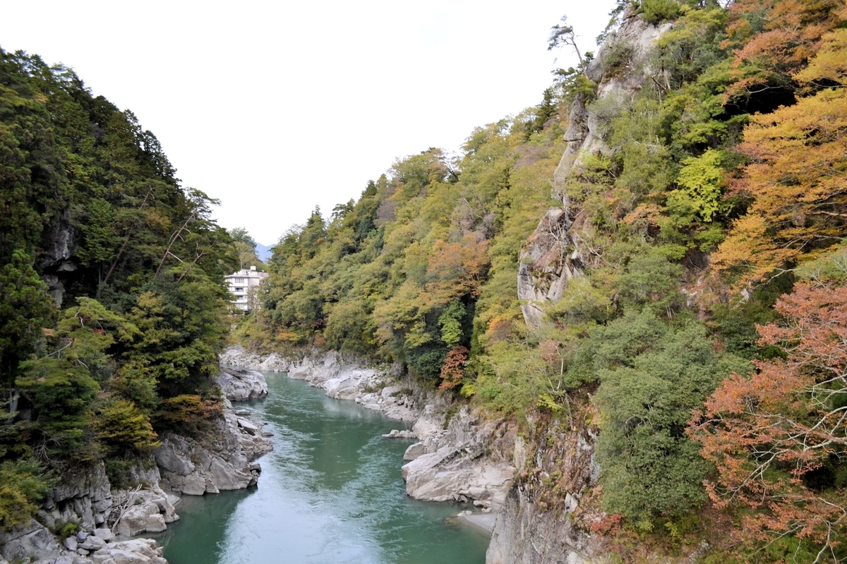 f:id:m00611108:20201102223311j:plain f:id:m00611108:20201102223311j:plain