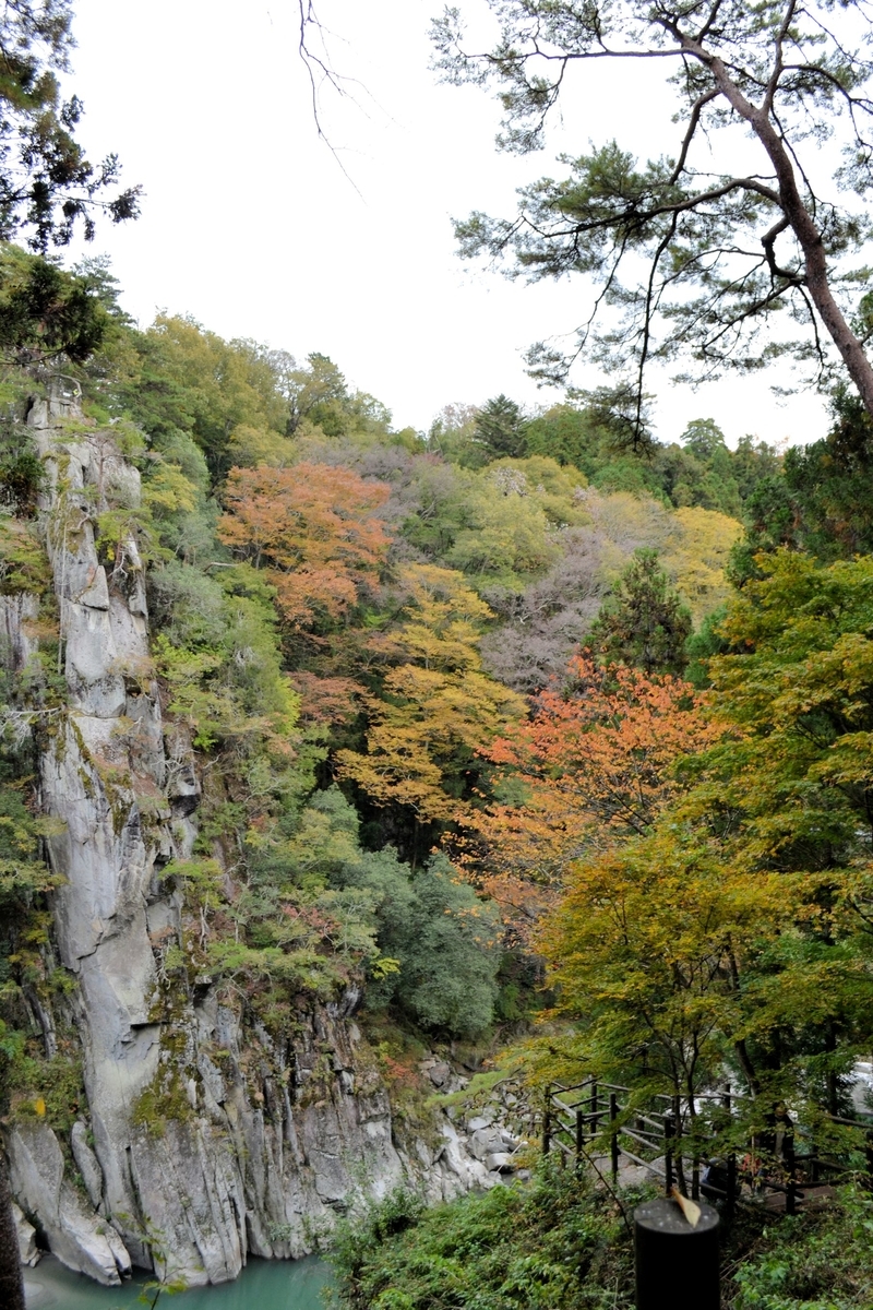 f:id:m00611108:20201107221825j:plain f:id:m00611108:20201107221825j:plain