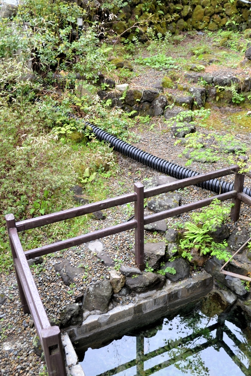 f:id:m00611108:20210503134816j:plain