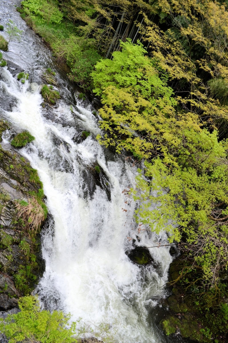 f:id:m00611108:20210503141440j:plain