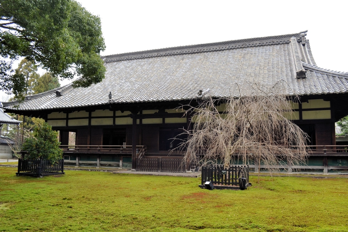 f:id:m00611108:20210620212504j:plain