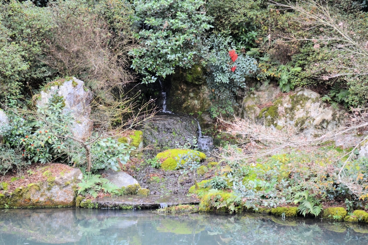 f:id:m00611108:20210620223316j:plain