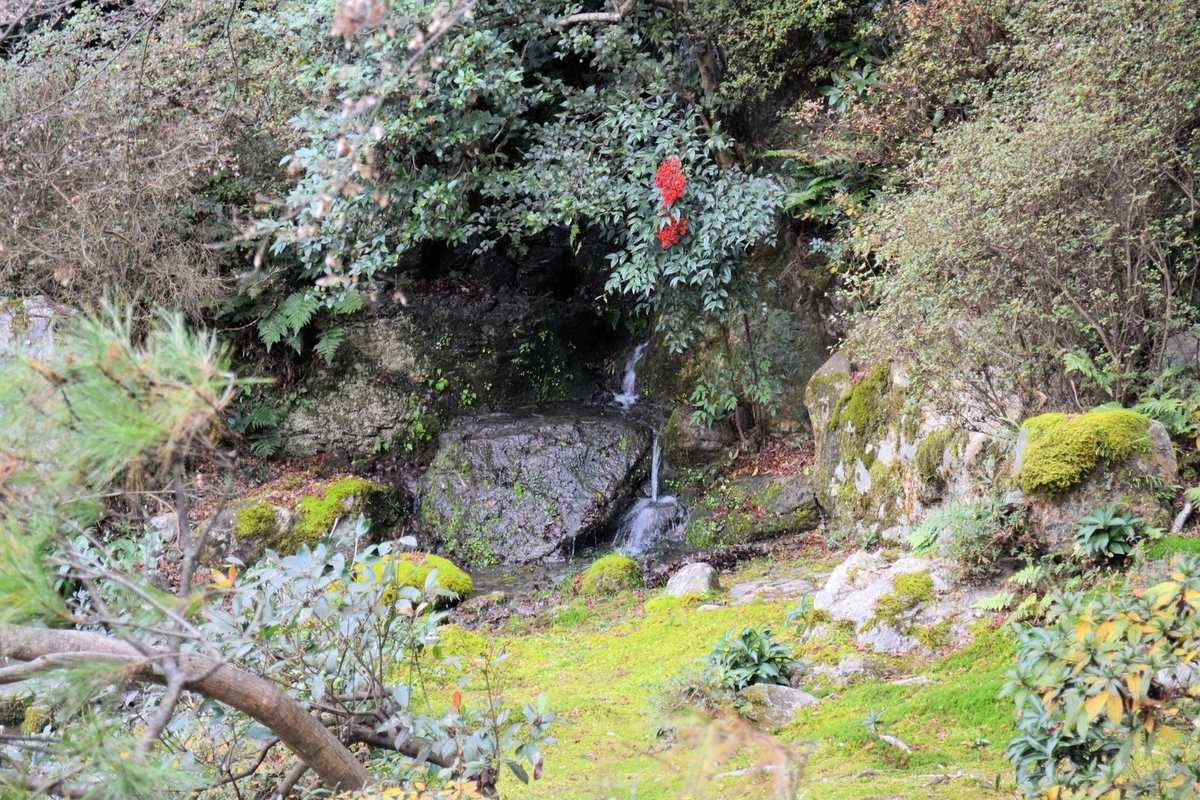 f:id:m00611108:20210620223624j:plain