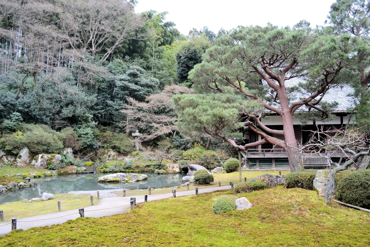 f:id:m00611108:20210626220827j:plain